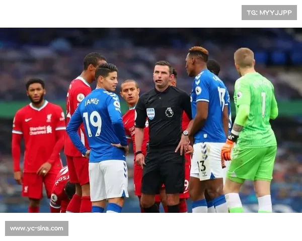 桑德兰对埃弗顿手球争议不断 英超裁判判罚标准再遭质疑