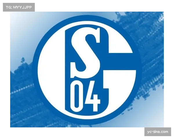 独家专访:即将退役的沙尔克04老将讲述二十年忠诚守望